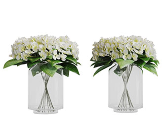 玻璃花瓶里的白色花卉