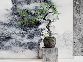 中式盆栽松树盆景