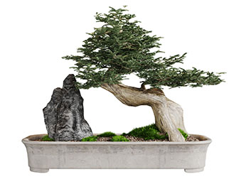 新中式松树假山盆景盆栽