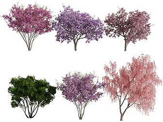 红色树叶的树木