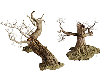 几棵枯死的老树