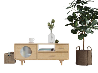 编织书框电视柜盆栽植物