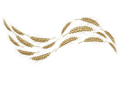 现代麦穗墙饰挂件