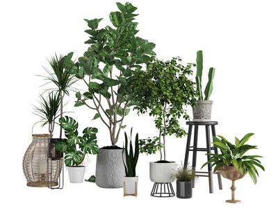 现代花盆盆栽植物烛台