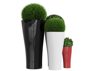 黑白陶瓷超高花盆盆栽植物