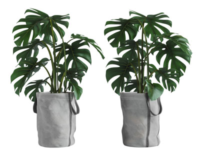 北欧布袋花盆盆栽植物