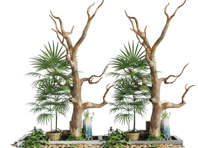 中式枯树花坛植物景观小品