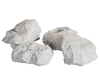 几颗白色的石头