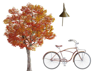 秋季黄树叶大树下的自行车