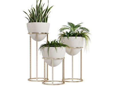 圆形花架盆栽植物