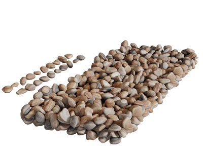 一堆长方形的鹅卵石