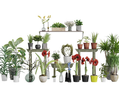 新中式玻璃柜门的装饰柜