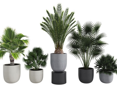 中式草地上的假山园艺小品