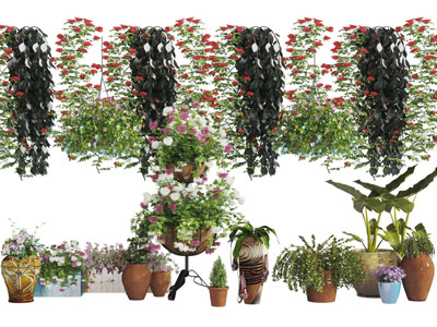 中式陶罐花盆盆栽植物吊兰绿植3d模型 中式陶罐花盆盆栽植物吊兰绿植