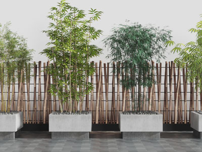 中式庭院篱笆竹子盆栽