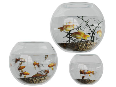 放在窗台上的鱼缸水族