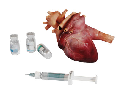 一颗红色的心脏药物针剂医疗器械3d模型 一颗红色的心脏药物针剂医疗器械