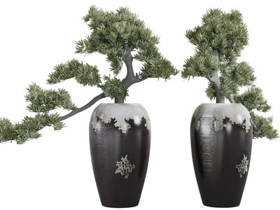 中式陶瓷器皿松树盆景