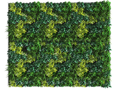 现代绿色植物墙