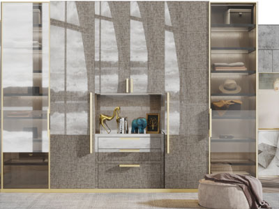 现代轻奢玻璃柜门的衣柜
