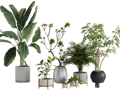 现代水泥花植盆栽植物