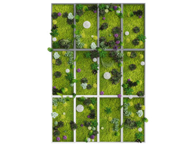 现代长方形边框的植物墙