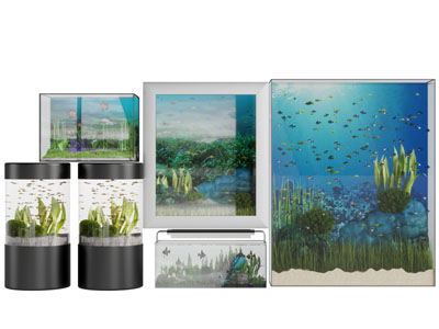 现代玻璃鱼缸水族