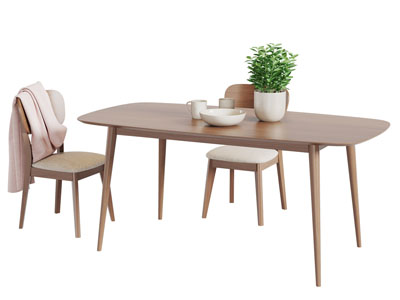 北欧实木椭圆形餐桌椅组合