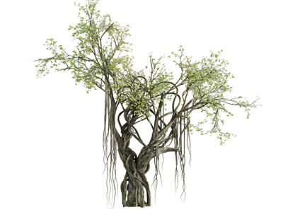 一棵扭曲的老树