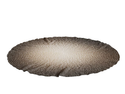 一块圆形地毯3d模型 一块圆形地毯