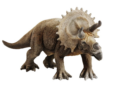 一只恐龙爬行动物