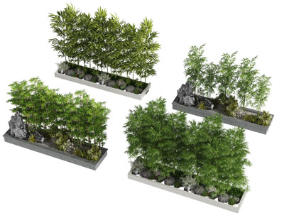 种在长方形花池的竹子