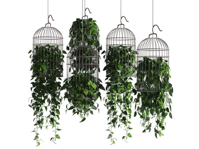 鸟笼吊篮植物3d模型 鸟笼吊篮植物