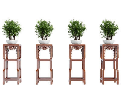 中式实木花架盆栽植物