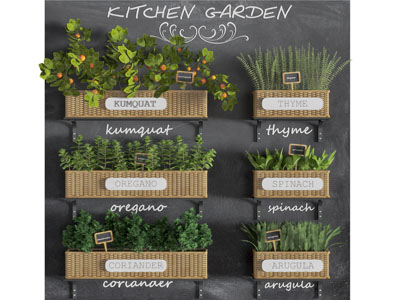 现代墙面藤编花盆植物