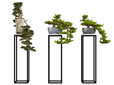 中式金属花架松树盆景盆栽