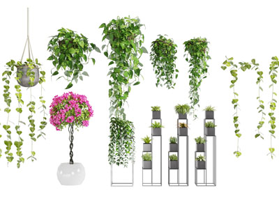 花架吊篮植物3d模型 花架吊篮植物