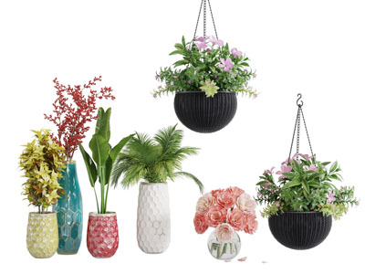 现代彩色陶瓷花盆盆栽植物