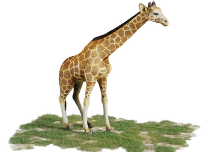 在草地上的长颈鹿爬行动物