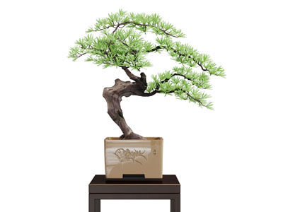 中式紫砂花盆盆景盆栽