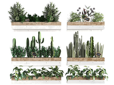 实木长方形花盆盆栽植物