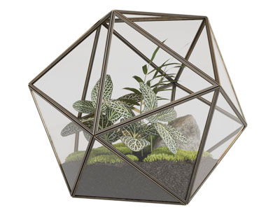 北欧玻璃罩多肉盆栽植物