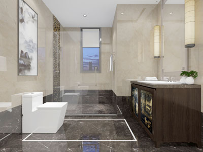 新中式卫生间卫浴间淋浴间