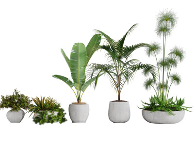 现代陶瓷花盆盆栽植物