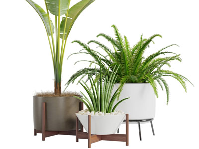 土陶圆形花盆盆栽植物