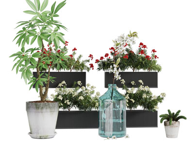 现代长方形花盆盆栽植物