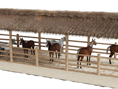 现代马厩马栏和马匹