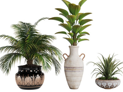 装饰民族花纹的花盆盆栽植物