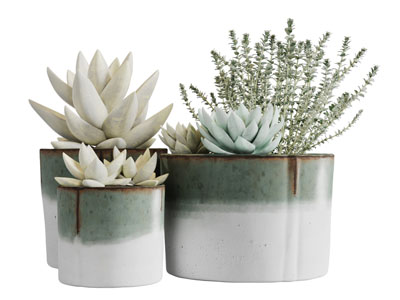 陶瓷花盆多肉盆景盆栽