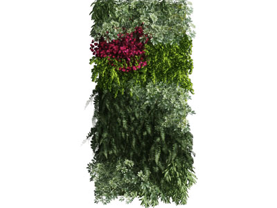 长方形植物墙
